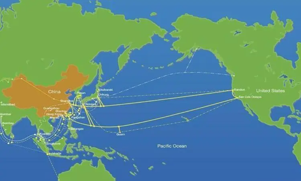 中国和越南至美国快速门到门服务